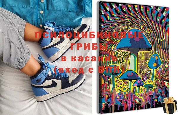прущая мука Гусев