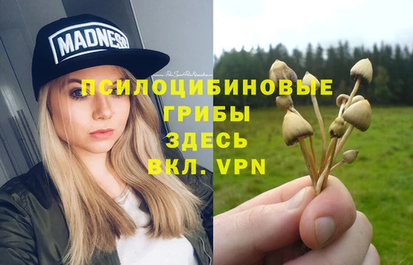 мяу мяу мука Дмитров