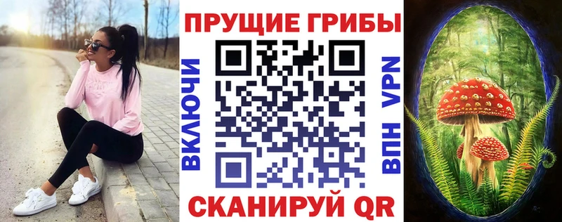 Купить закладки Верхотурье Псилоцибиновые грибы GOLDEN TEACHER
